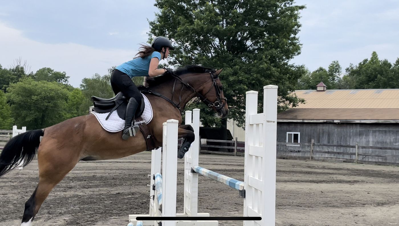 Hunter jumper competition at A-circuit show