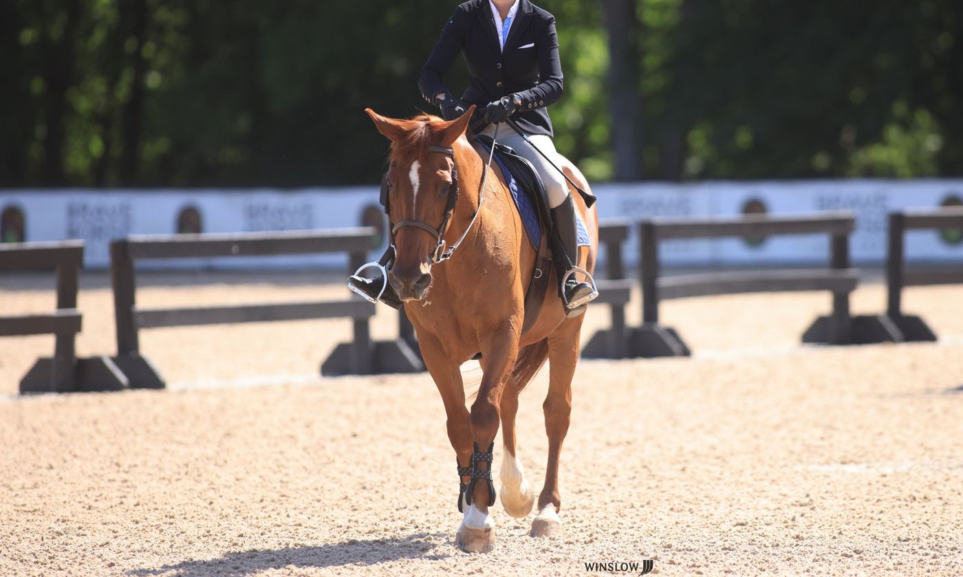 Equitation on the flat at hunter jumper show